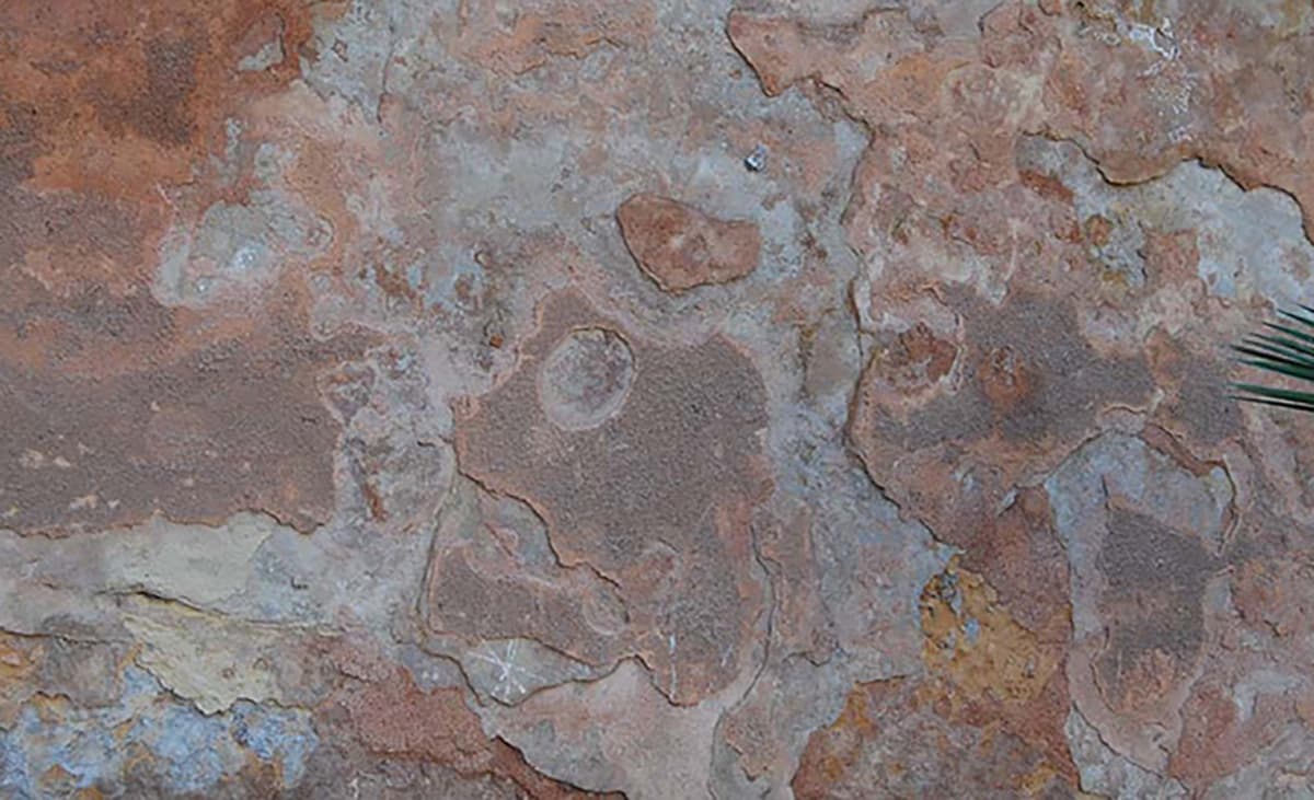 Wall strata
